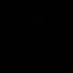 Meet your Posher, Kendall